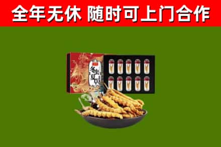 任城回收冬虫夏草价格