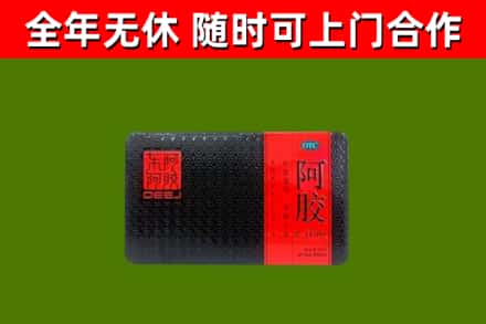 任城回收阿胶