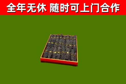 任城回收海参